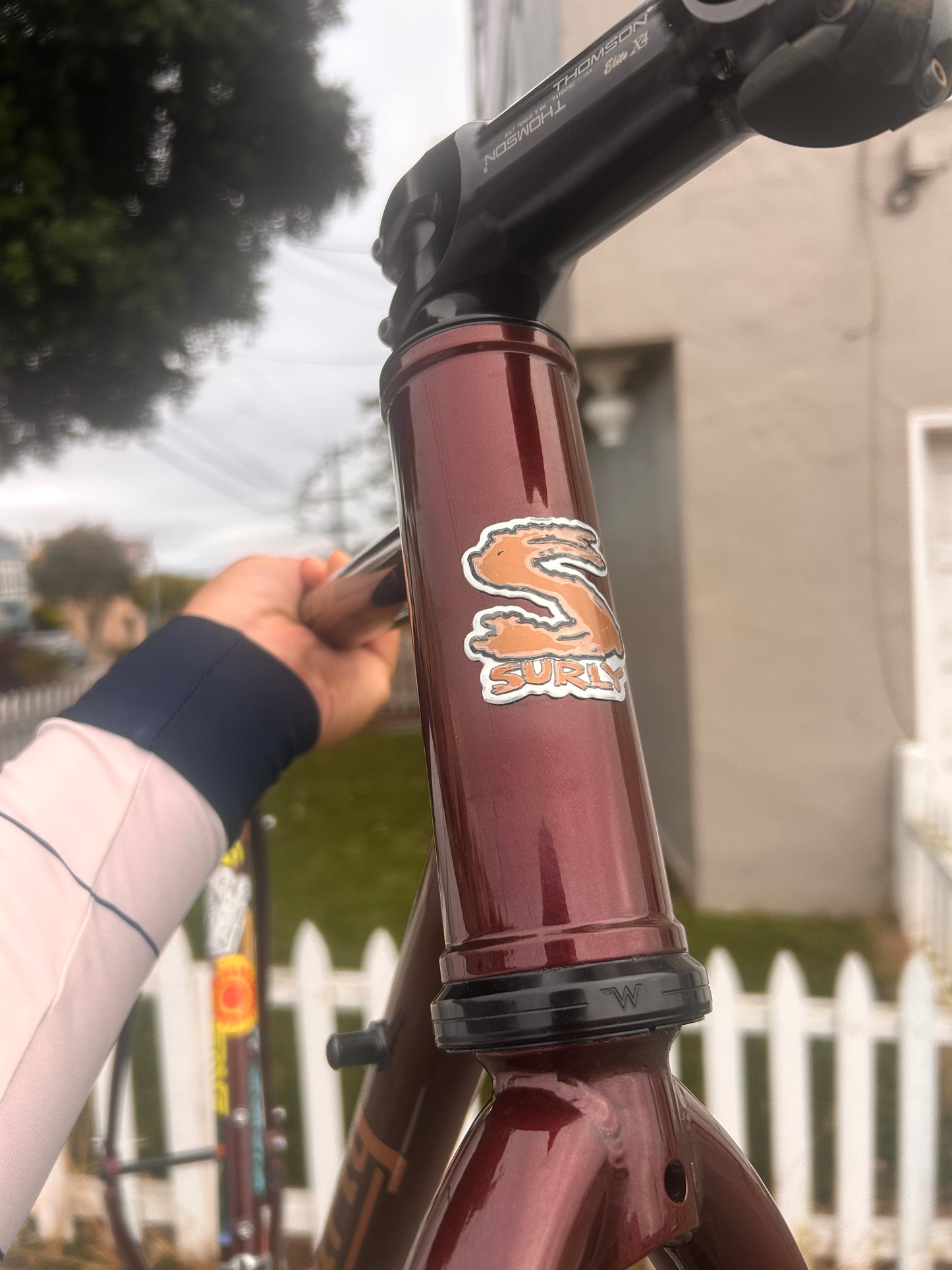 56cm Surly Midnight Special frameset (barely ridden)