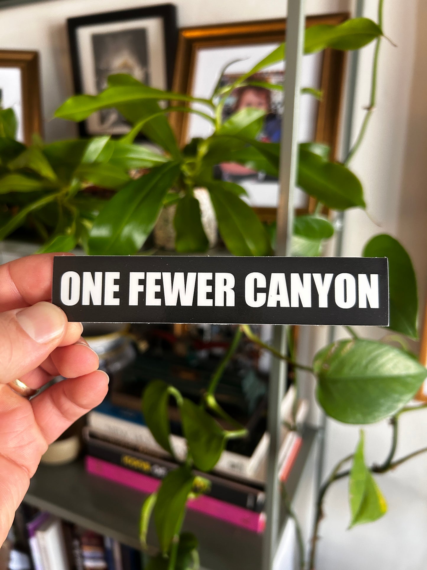 ONE FEWER CANYON 5x1"