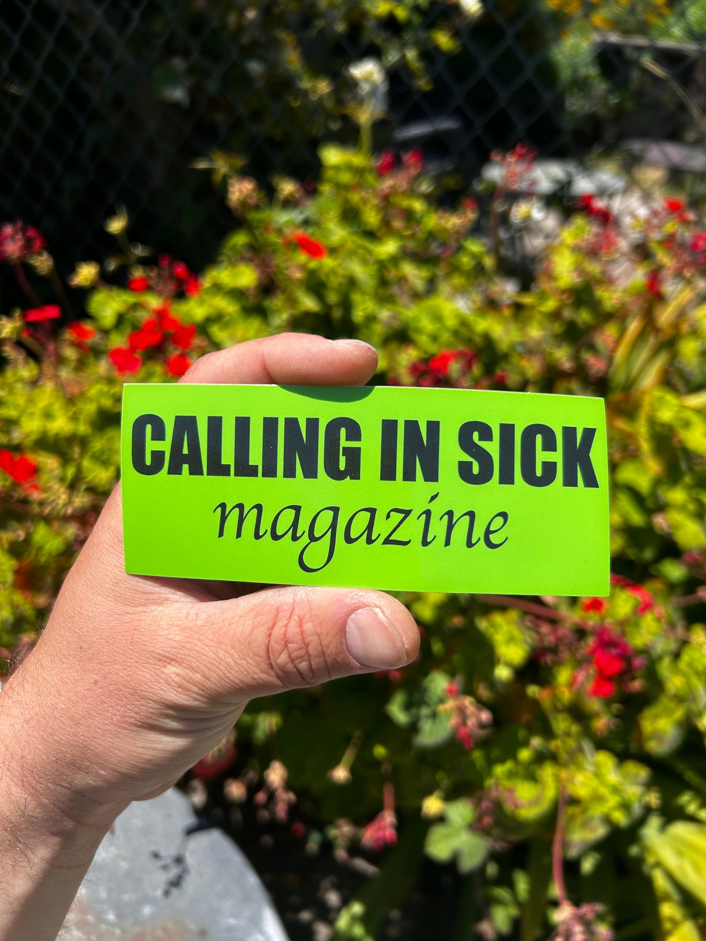 Lime Green 5x2"