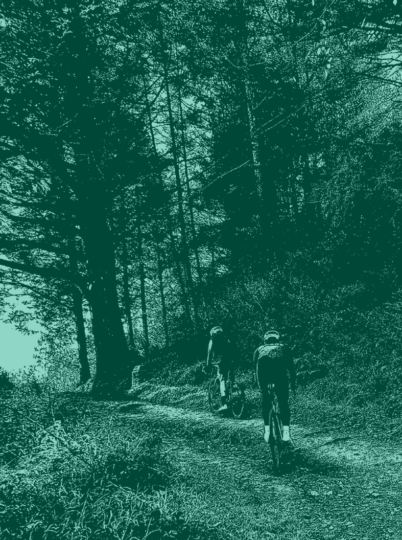 Forest Image Shirt PREORDER