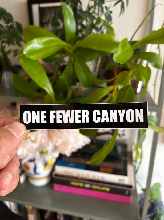 ONE FEWER CANYON 5x1"