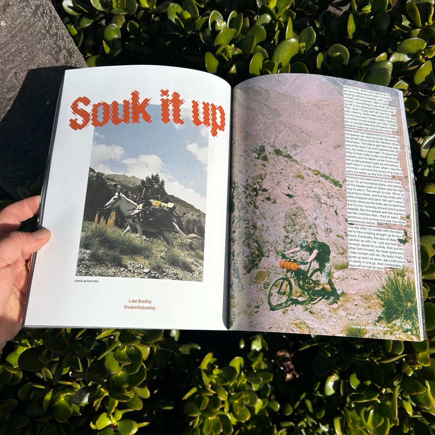 Issue 16