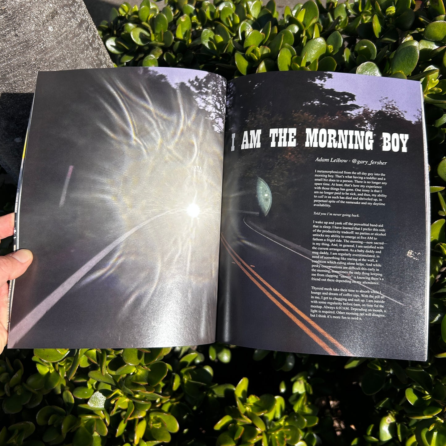 Issue 16