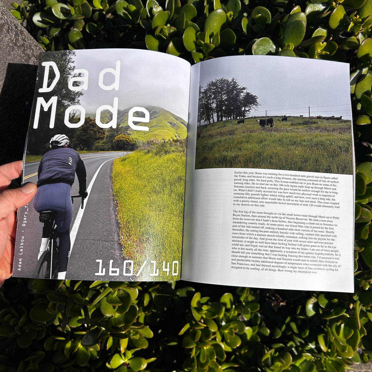 Issue 16