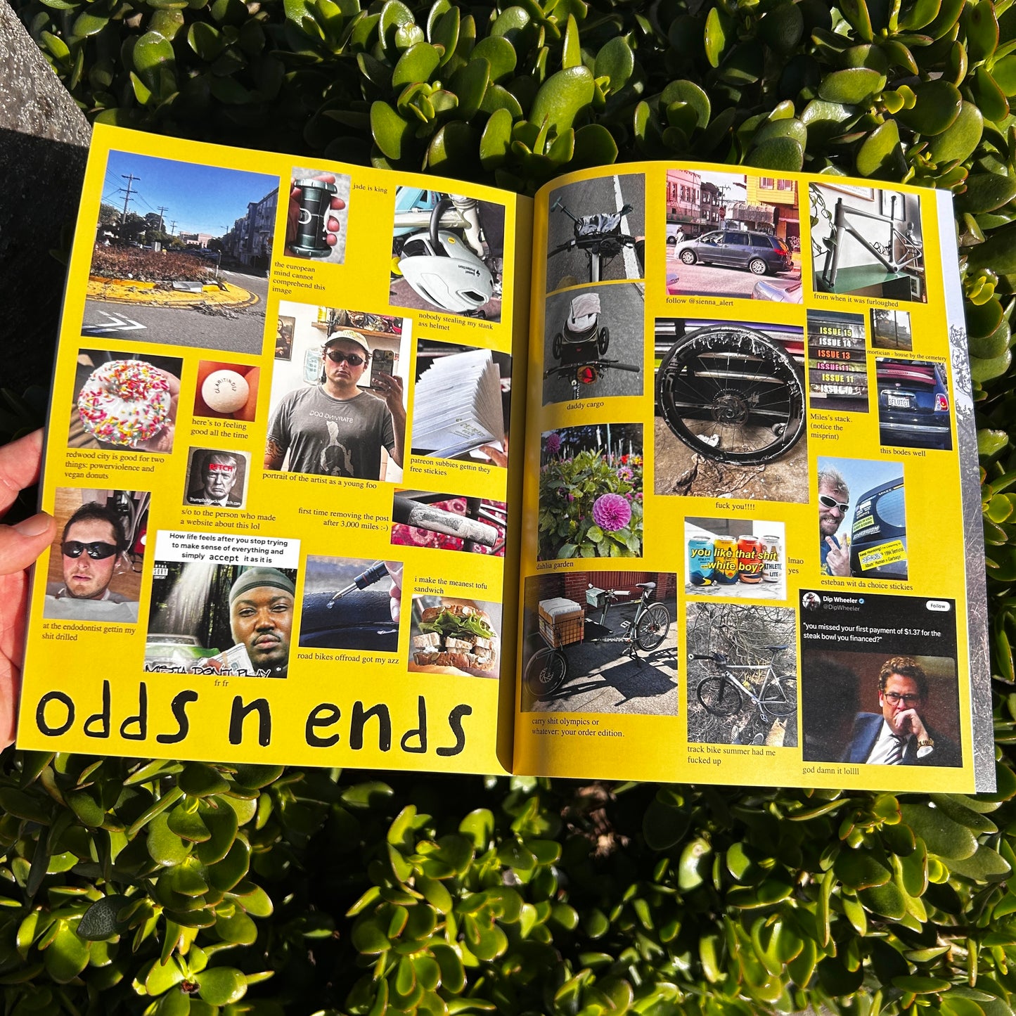 Issue 16