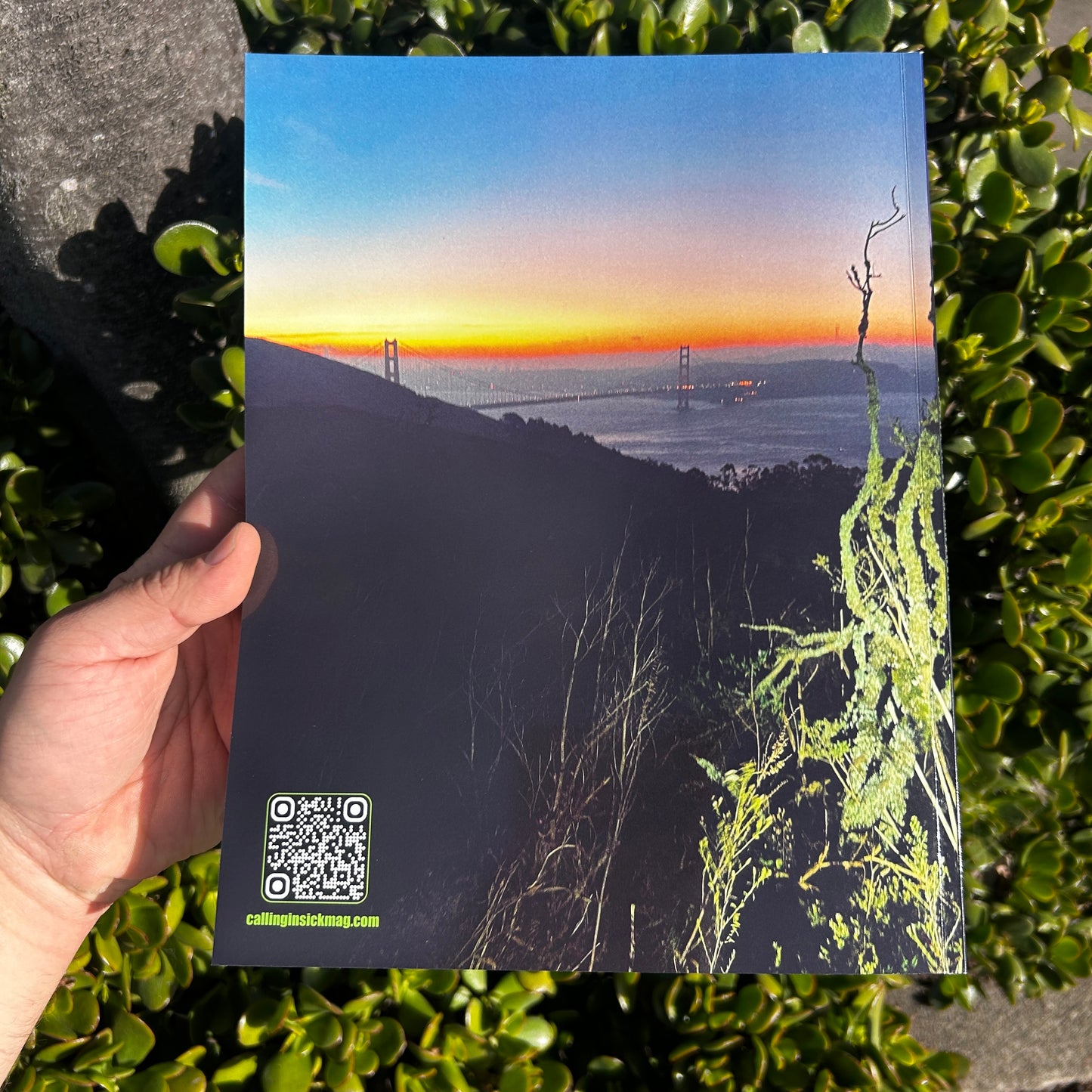 Issue 16