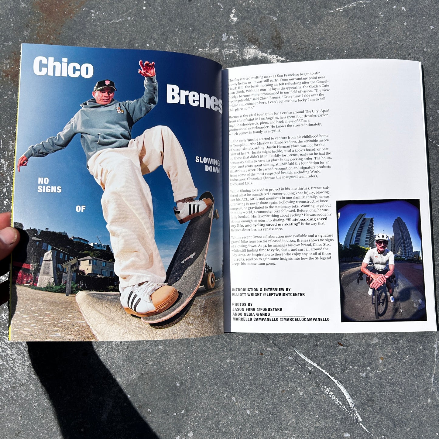 Issue 17