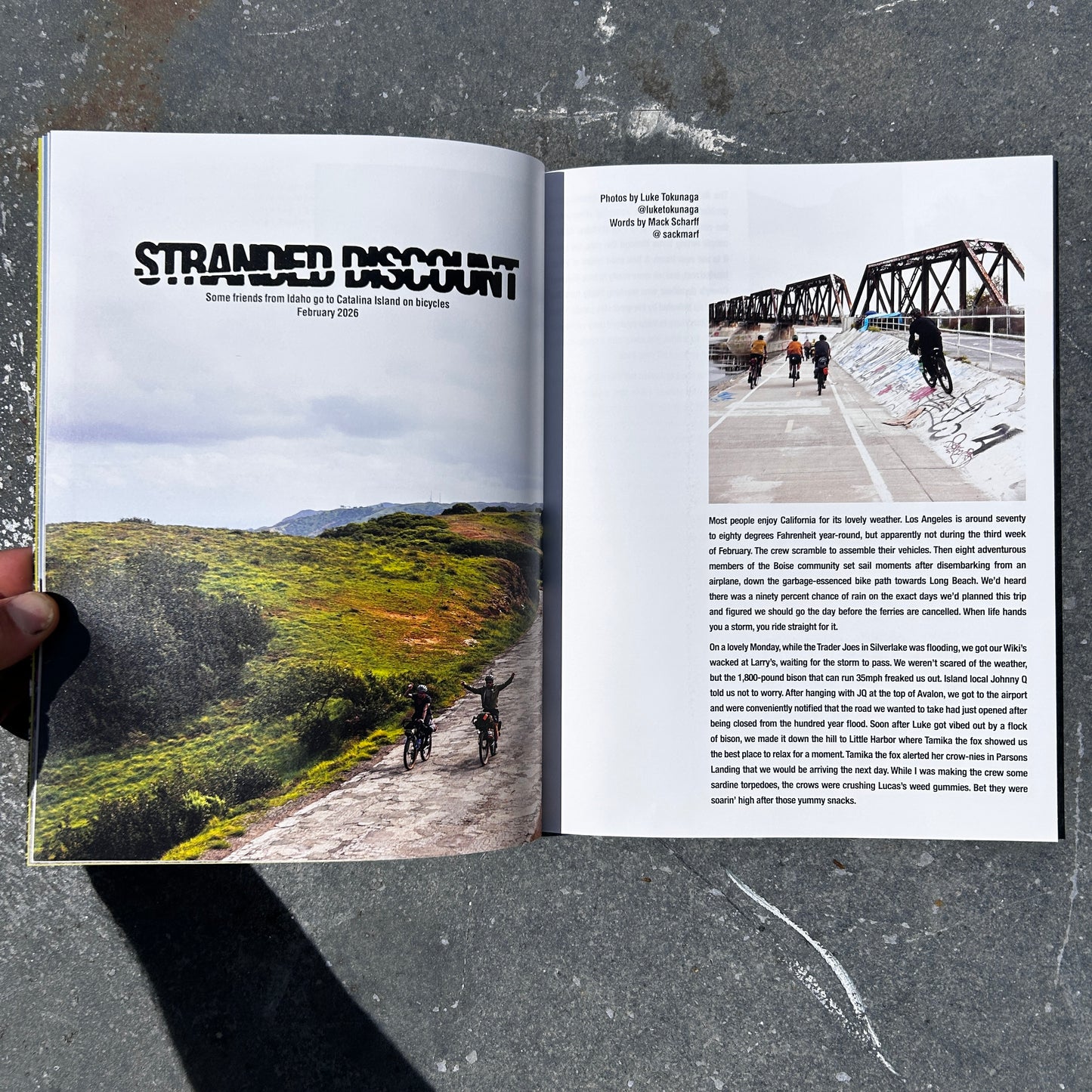 Issue 17