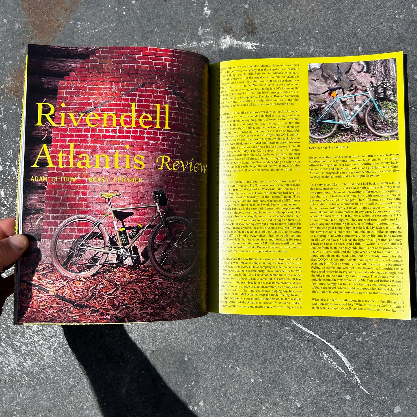 Issue 17