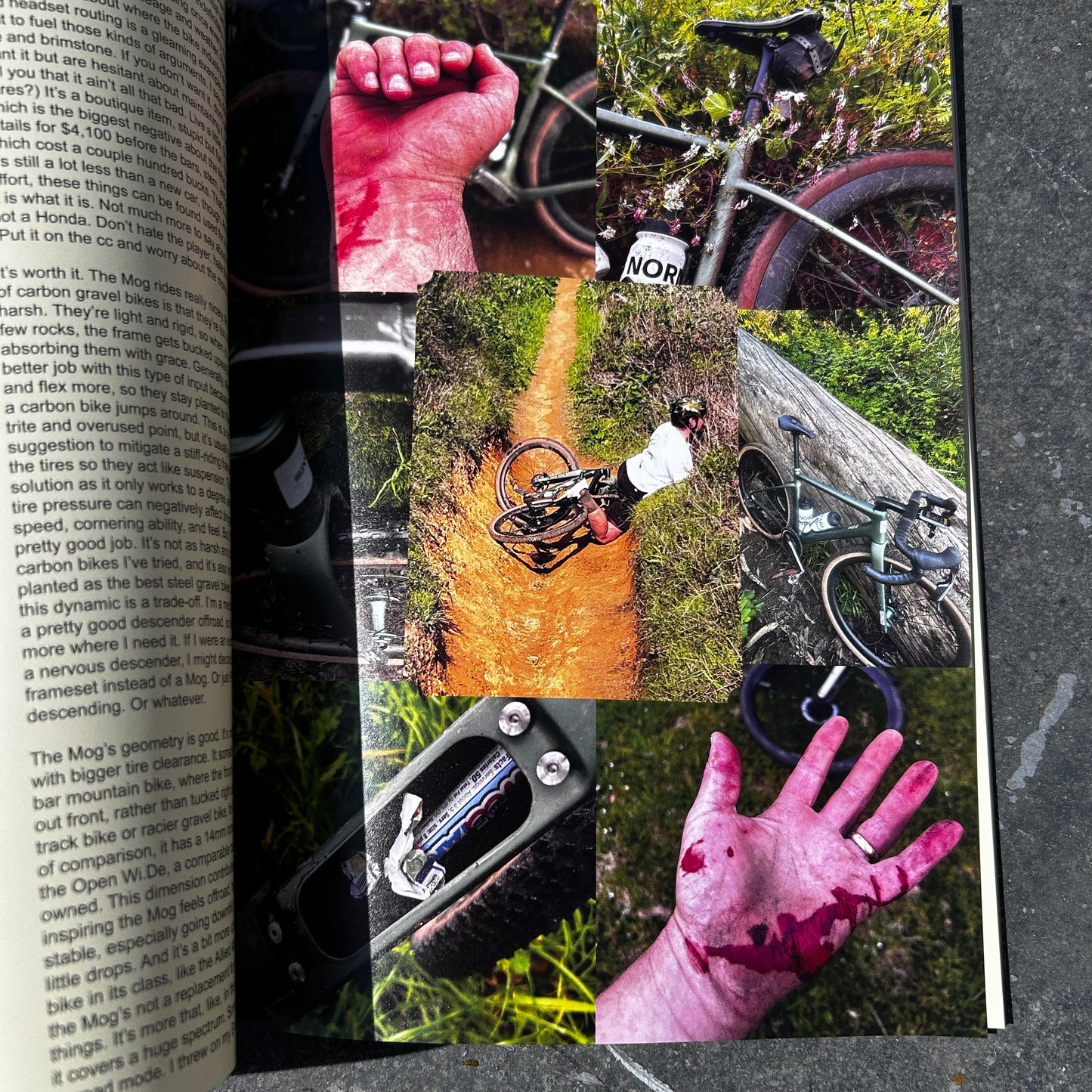 Issue 17