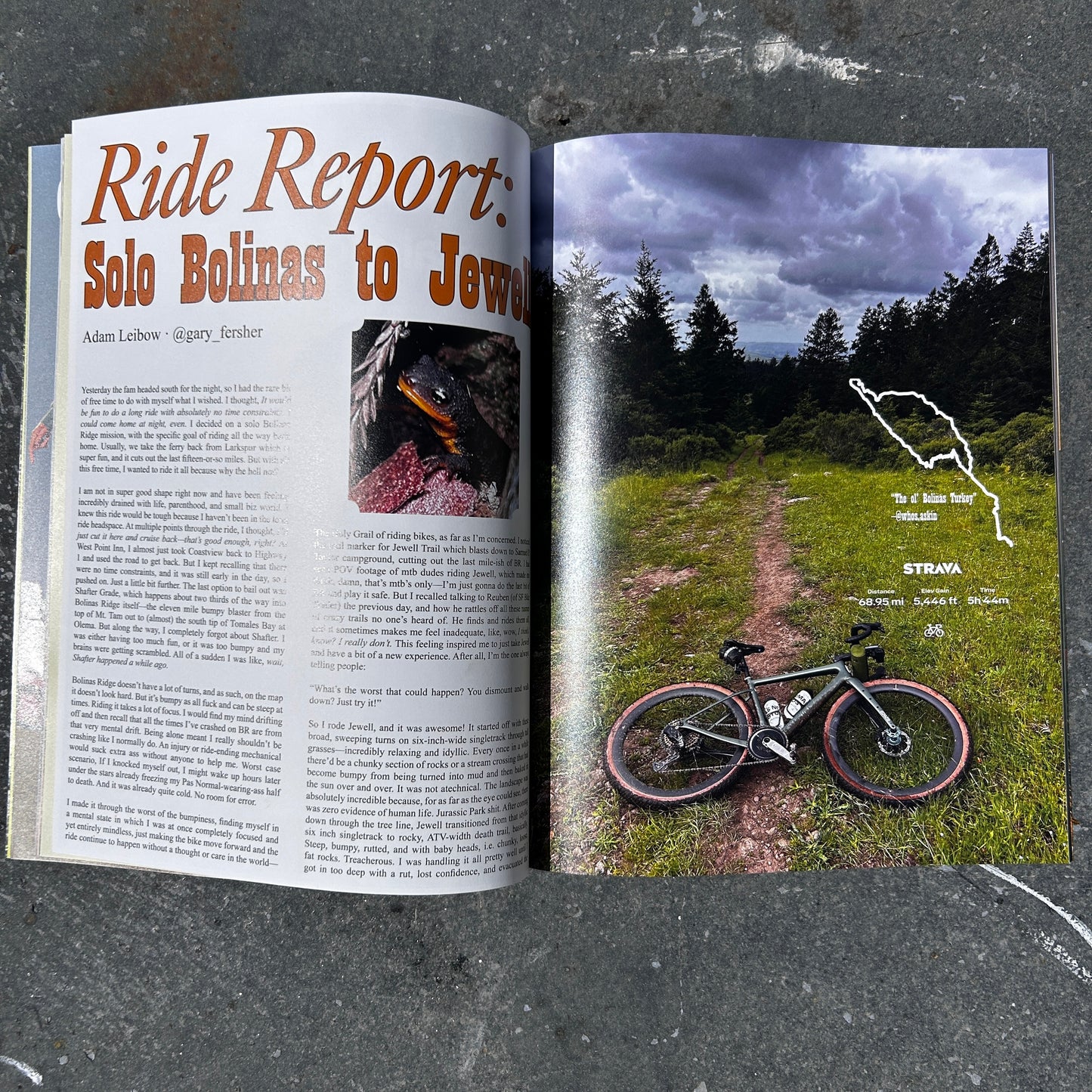Issue 17