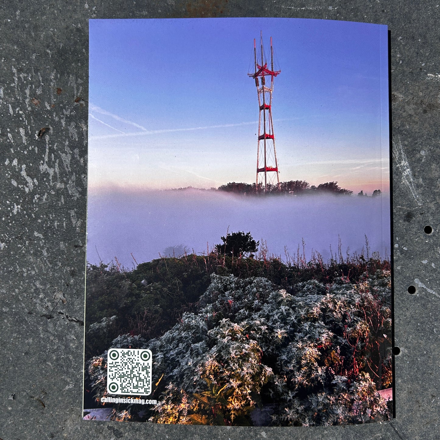 Issue 17