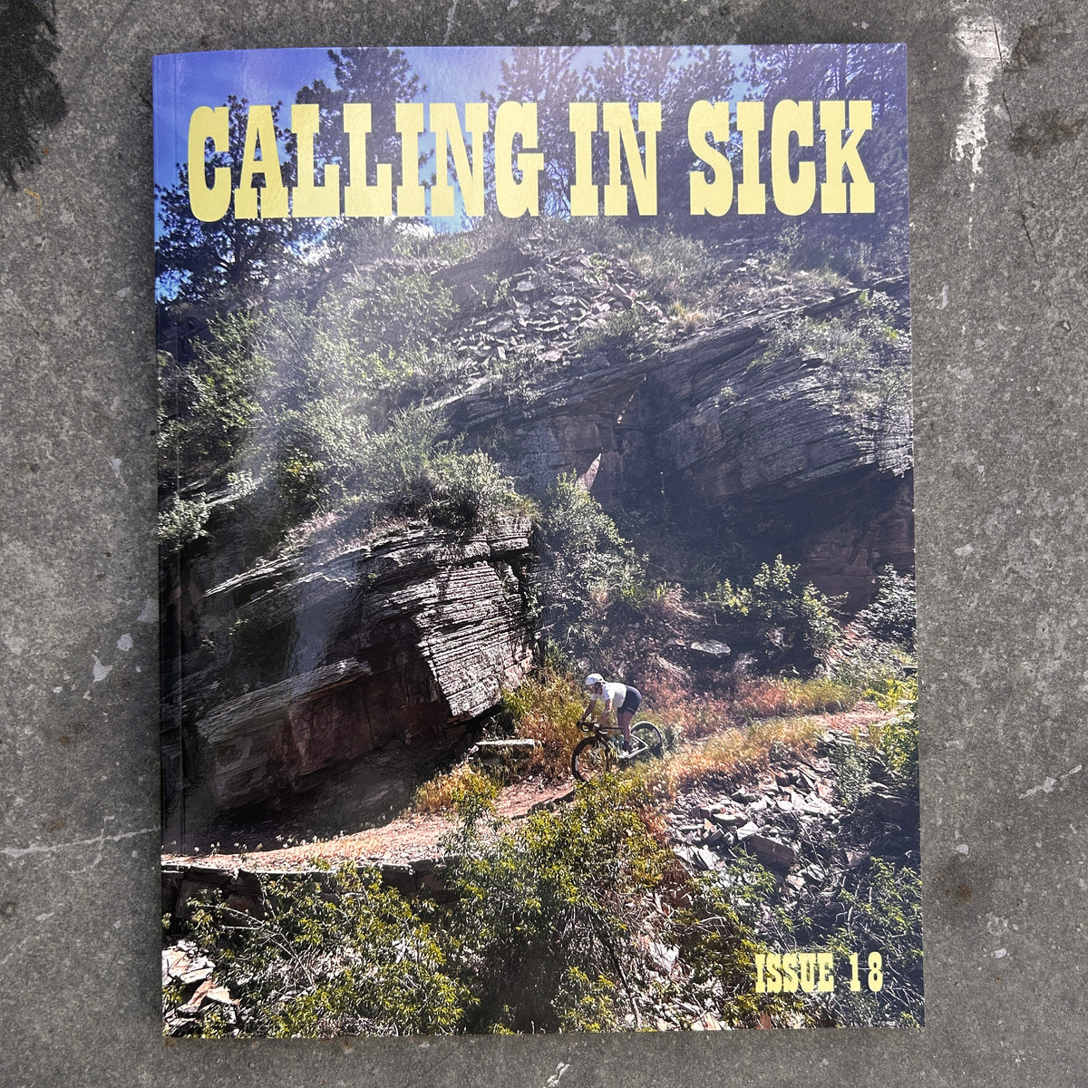 Issue 18